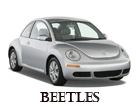 beetles_1.gif